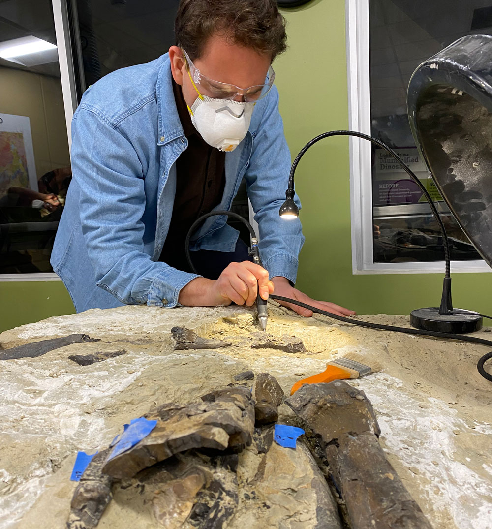 Scientist clearing rock from the Allosaurus fossil in the Paleo Prep Lab.